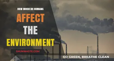 Human Impact on the Environment: Causes, Consequences, and Solutions