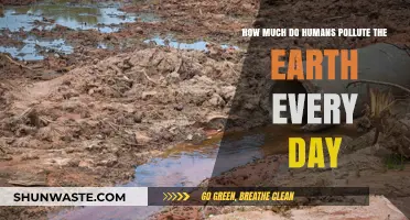 Human Impact: Daily Pollution and Our Earth's Future