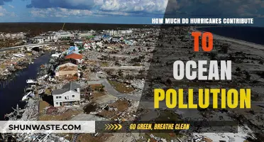 Hurricanes' Impact: Ocean Pollution and Devastation