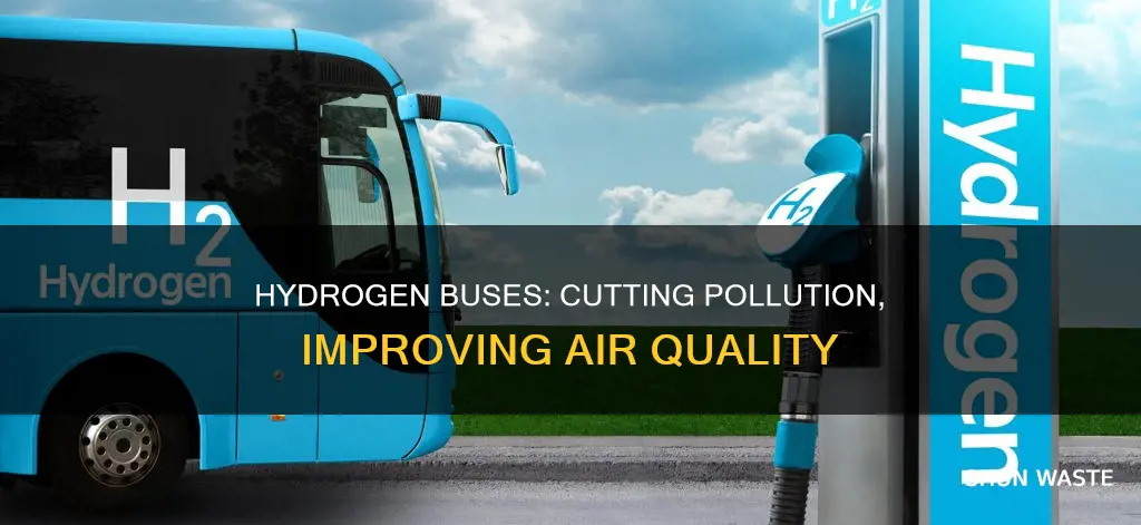 how much do hydrogen buses reduce pollution