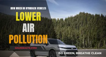 Hydrogen Cars: Cutting Air Pollution, Saving Our Future
