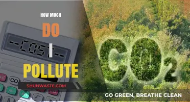 The Carbon Footprint: Your Personal Pollution Impact