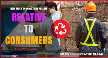 Who Pollutes More: Industries or Consumers?