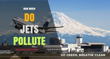 Jets and Pollution: The Dark Side of Air Travel