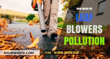 Leaf Blowers: A Pollution Problem?