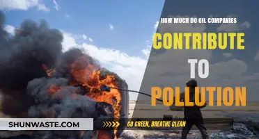 Oil Companies: Pollution's Big Payers