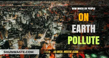 Human Impact: Earth's Pollution Problem
