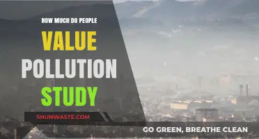 Pollution Studies: Valued or Overlooked?