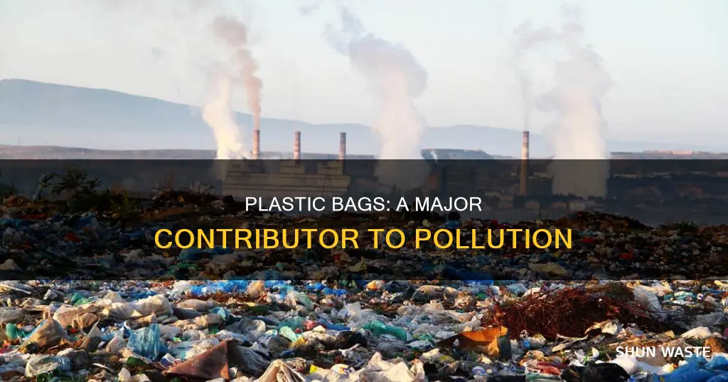 how much do plastic bags account for plastic pollution