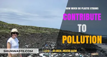 Plastic Straws: A Huge Impact on Pollution
