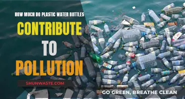 The Environmental Impact: Plastic Bottles and Pollution