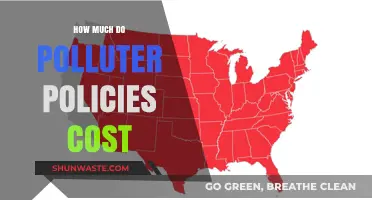 Polluter Policies: Who Pays the Price?