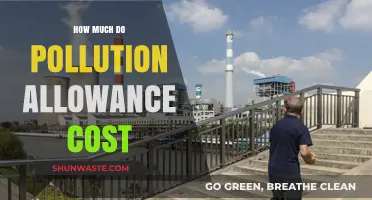 Pollution Allowance Pricing: What's the Cost?