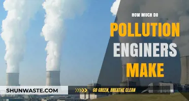 Pollution Engineers: Salary Insights and Career Outlook