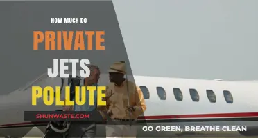 Private Jets: The Dark Side of Luxury Travel