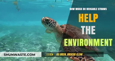 Reusable Straws: A Small Change with Big Environmental Impact?