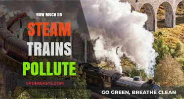 Steam Trains: Pollution and Environmental Impact