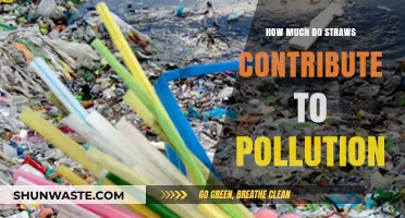 Straws: A Big Pollution Problem?