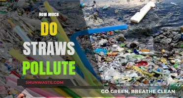 Straws: A Small Pollutant with a Large Impact