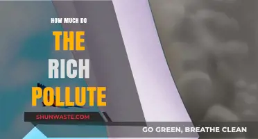 The Rich Pollute More: How Badly Do They Affect Our Planet?
