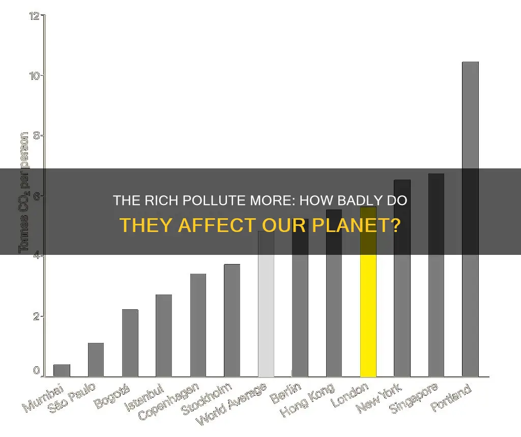 how much do the rich pollute