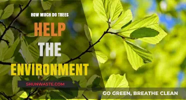 Trees' Vital Role: Environmental Benefits and Impact Explained