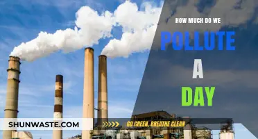 Our Daily Pollution: How Much Harm We Cause?