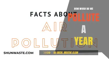 The Devastating Impact: Our Annual Pollution Legacy