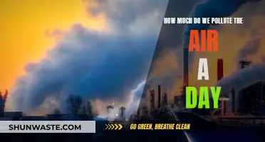 Air Pollution: Our Daily Impact on the Environment