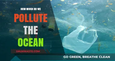 Ocean Pollution: The Devastating Impact of Human Activity
