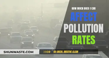 Cars and Pollution: How Much Impact Does One Car Have?