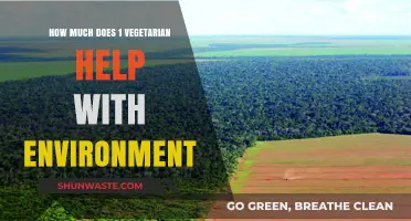 One Vegetarian's Impact: How Plant-Based Diets Benefit the Environment