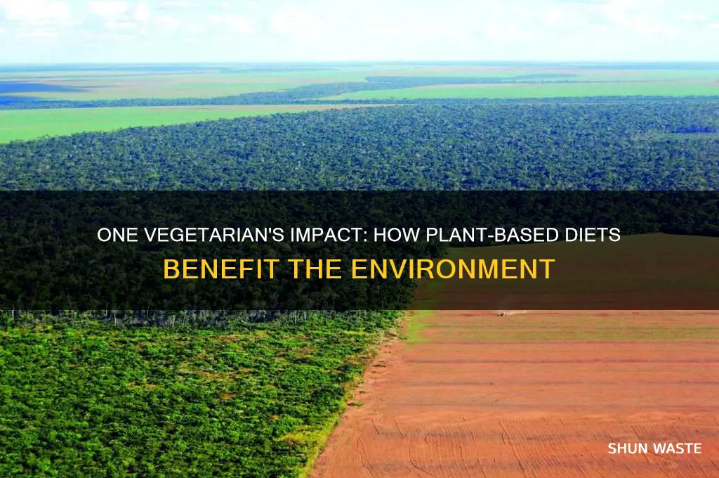 how much does 1 vegetarian help with environment