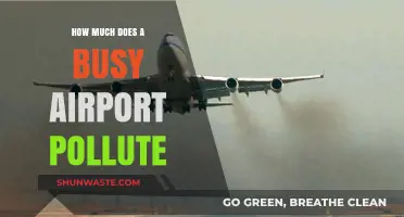 Airports and Pollution: A Toxic Relationship