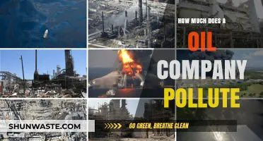 Oil Companies: Pollution and Profit Margins