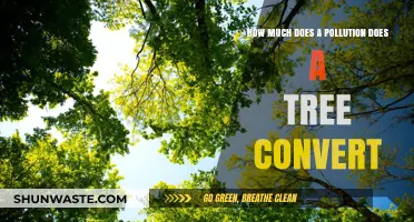 Trees: Powerful Pollution Converters and Air Purifiers