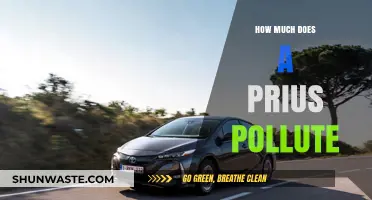 The Prius Pollution Problem: How Much is Too Much?