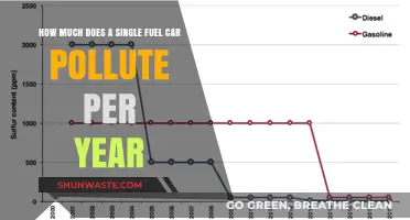 The Impact of Single Fuel Cars on the Environment