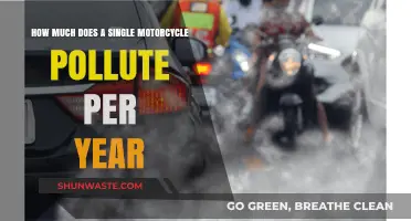 Motorcycle Pollution: Annual Environmental Impact