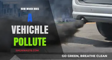 Vehicle Pollution: Understanding the Environmental Impact