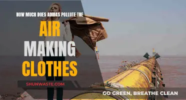 Adidas' Carbon Footprint: Clothing's Air Pollution Problem