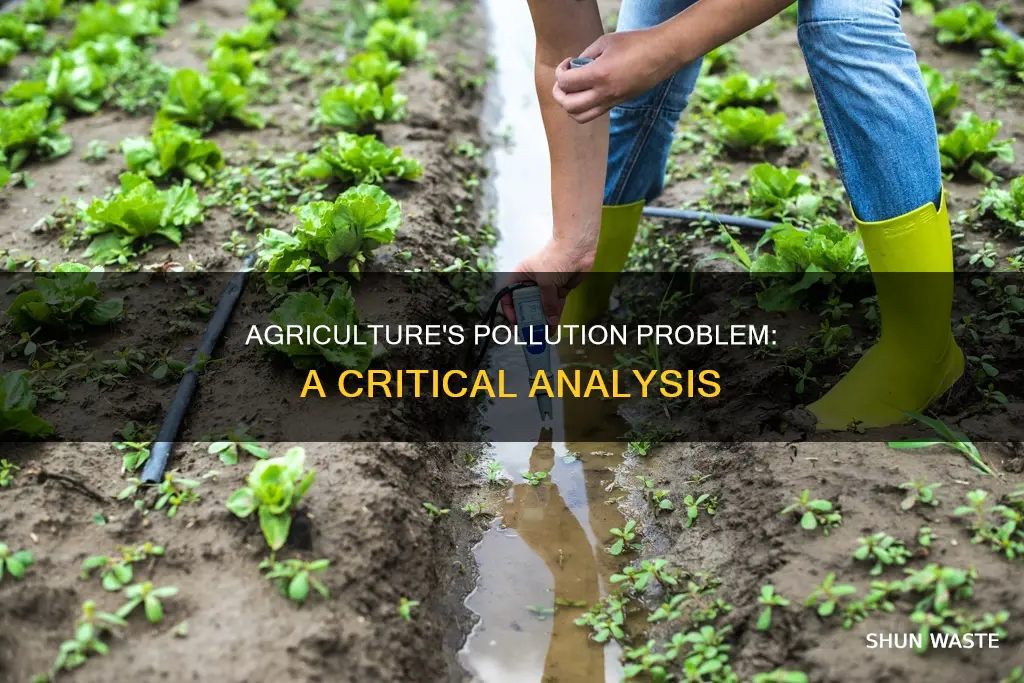 how much does agriculture contribute to pollution