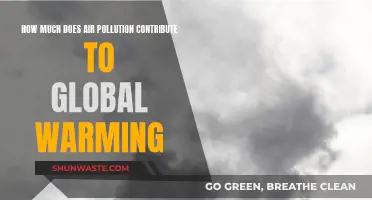 Air Pollution's Global Warming Impact: What's the Cost?