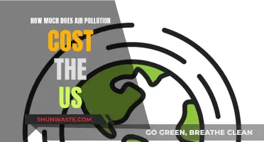 Air Pollution: The Costly US Crisis