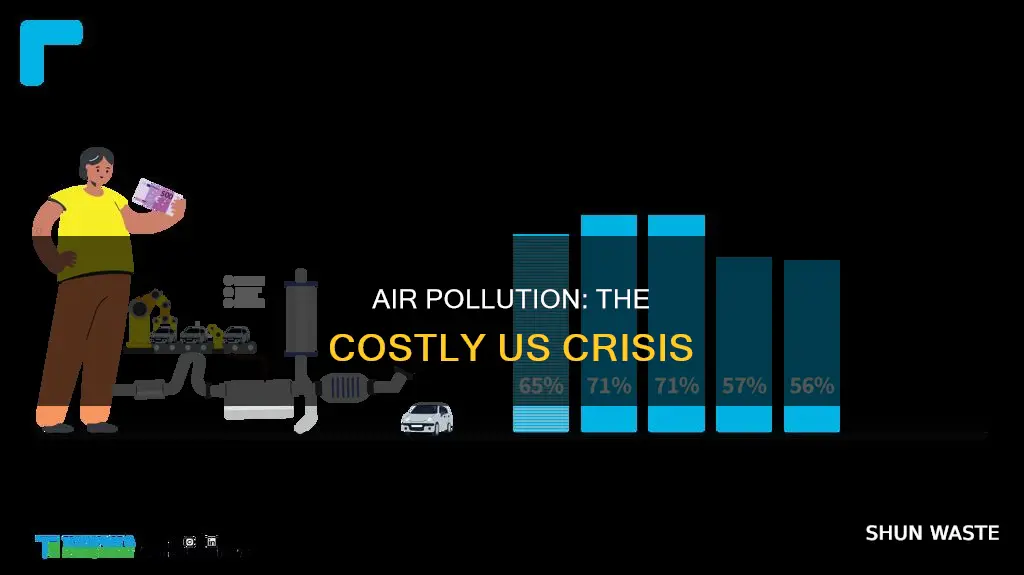 how much does air pollution cost the us