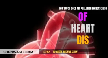 Air Pollution's Heart Disease Risk: What You Need Know