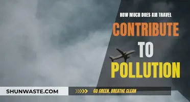 Air Travel's Pollution Problem: What's the Damage?