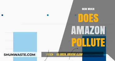 Amazon's Pollution: The Dark Side of Online Shopping
