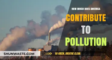 America's Pollution Footprint: Global Impact?