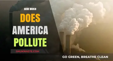The Dark Side of America: Pollution and Its Impact